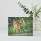 Cute Fawn Briefkaart (Staand voorkant)