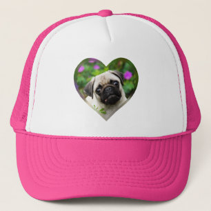 Cute Fawn Colored Pug Puppy Dog Face Pet Photo —