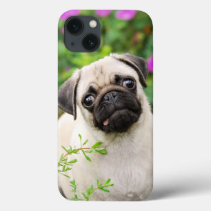 Cute Fawn Colored Pug Puppy Dog Face Pet Photo - Case-Mate iPhone Case