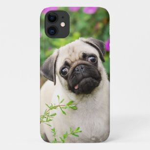 Cute Fawn Colored Pug Puppy Dog Face Pet Photo — Case-Mate iPhone Case