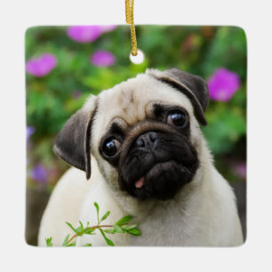 Cute Fawn Colored Pug Puppy Dog Photo - porcelain Keramisch Ornament