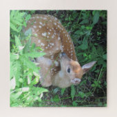 Cute Fawn Legpuzzel (Horizontaal)