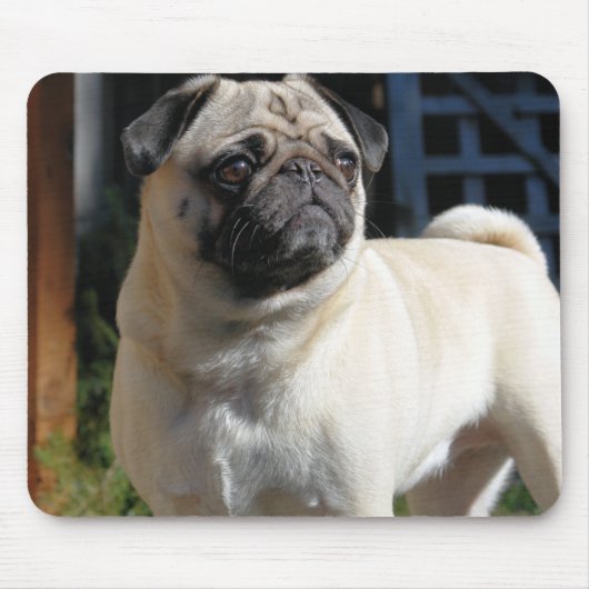 Cute Fawn Pug Mousepad Muismat (Voorkant)