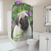 Cute fawn pug puppy, badkamer Tub Douchegordijn (In situ)