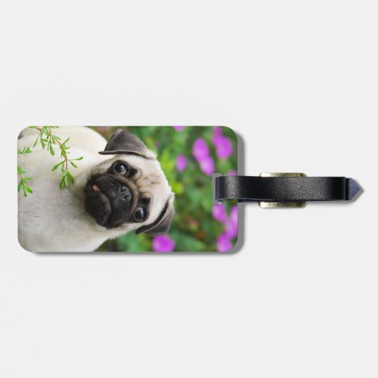 Cute fawn pug puppy bagagelabel (Achterkant horizontaal)