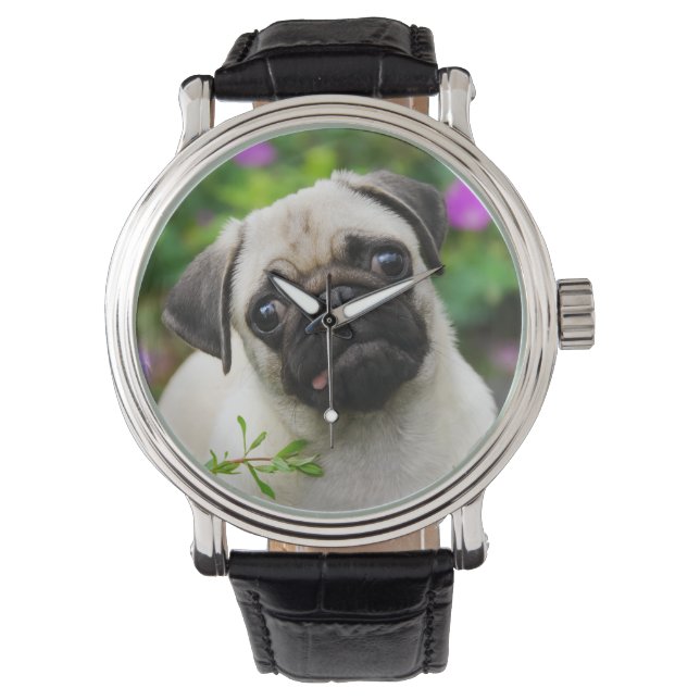 Cute fawn pug puppy horloge (Voorkant)