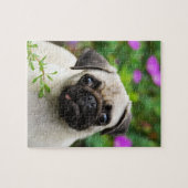 Cute fawn pug puppy legpuzzel (Horizontaal)