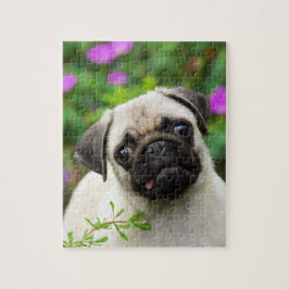 Cute fawn pug puppy legpuzzel