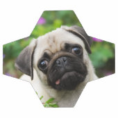 Cute fawn pug puppy voetbal (Enkel)