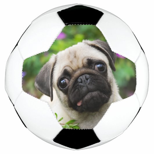 Cute fawn pug puppy voetbal (Voorkant)
