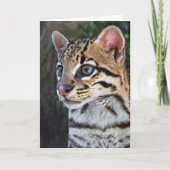 Cute Feline Ocelot Portret Kaart (Voorkant)
