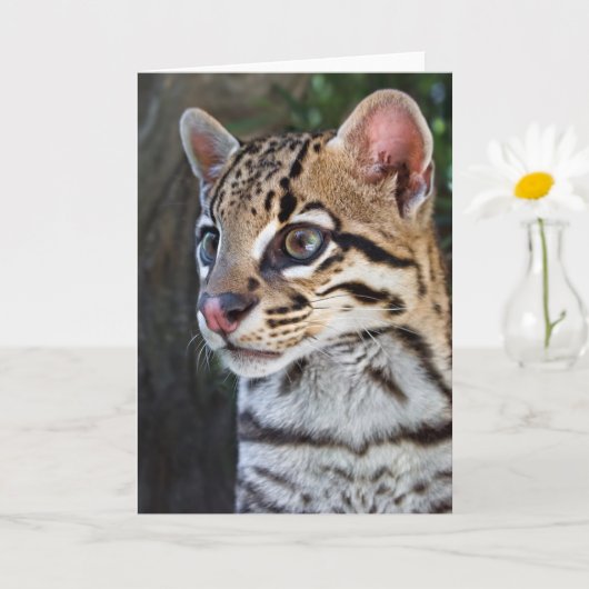 Cute Feline Ocelot Portret Kaart (Kleine Plant)