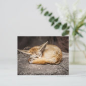 Cute Fennec Fox Briefkaart (Staand voorkant)