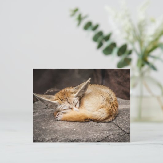 Cute Fennec Fox Briefkaart (Staand voorkant)