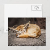 Cute Fennec Fox Briefkaart (Voorkant / Achterkant)