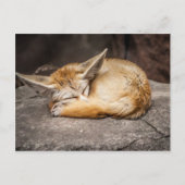 Cute Fennec Fox Briefkaart (Voorkant)