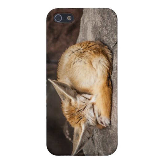 Cute Fennec Fox iPhone Hoesje (Achterkant)