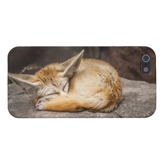 Cute Fennec Fox iPhone 5 Hoesje