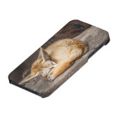 Cute Fennec Fox iPhone Hoesje (Onderkant)