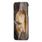 Cute Fennec Fox iPhone Hoesje (Achterkant Links)