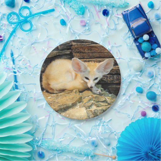 Cute fennec fox papieren bordje (Feest)