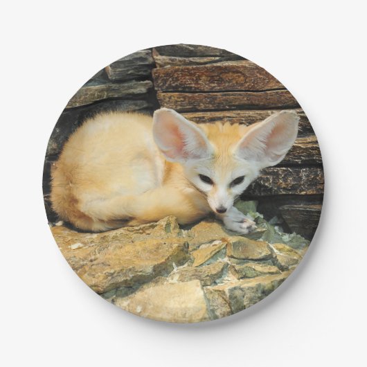 Cute fennec fox papieren bordje (Voorkant)