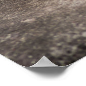 Cute Fennec Fox Poster (Hoek)