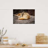 Cute Fennec Fox Poster (Keuken)