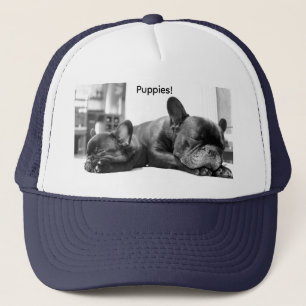 Cute   Financiering   Bulldog Puppies Trucker Hat Trucker Pet