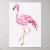 Cute Flamingo Tekening Poster (Voorkant)