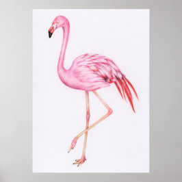 Cute Flamingo Tekening Poster