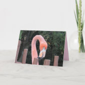 Cute Flamingo Wenskaart Kaart (Voorkant)