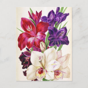 Cute Floral Briefkaart