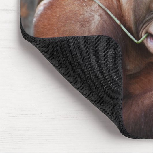 Cute Floss Your Teeth Animal Muismat (Hoek)