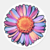 Cute Flower Paars Pink Blue Boho Daisy Bisexual Ronde Sticker (Voorkant)