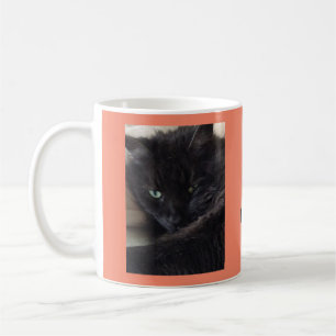 Cute Fluffy Black Cat Foto gepersonaliseerd Koffiemok