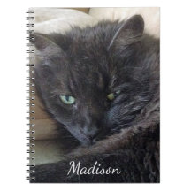 Cute Fluffy Black Cat Photo Persoonlijke naam