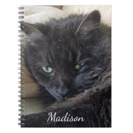 Cute Fluffy Black Cat Photo Persoonlijke naam Notitieboek