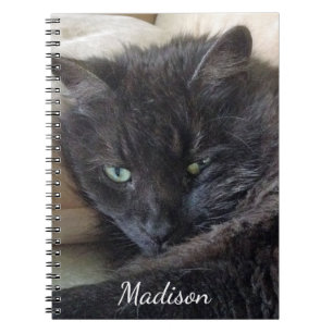 Cute Fluffy Black Cat Photo Persoonlijke naam Notitieboek