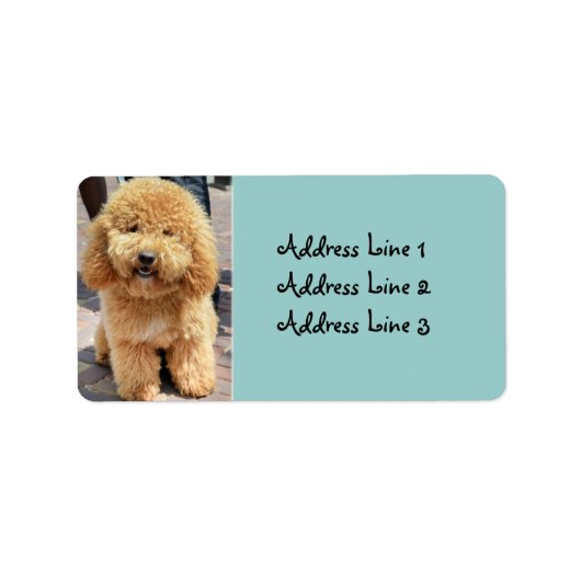 Cute Fluffy Brown Dog-fotolabel Etiket (Voorkant)