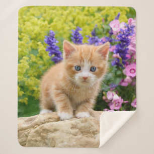 Cute Fluffy Ginger Baby Cat Kitten Flowers Pet '' Sherpa Deken