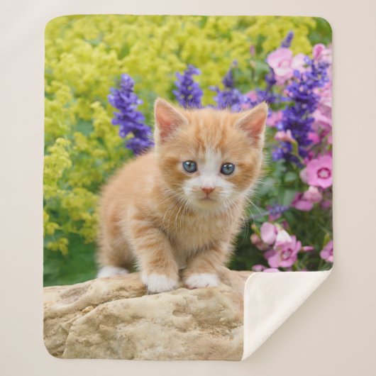Cute Fluffy Ginger Baby Cat Kitten Flowers Pet '' Sherpa Deken (Voorkant)