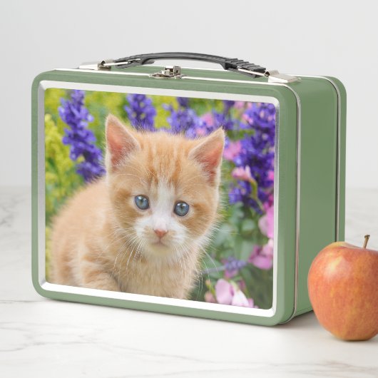 Cute Fluffy Ginger Cat Kitten in Flowers Pet (In situ)