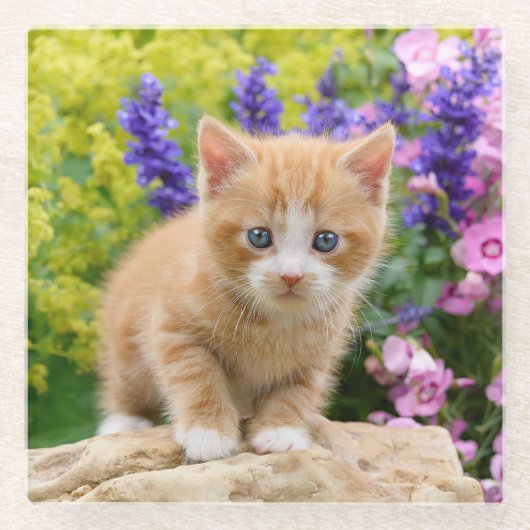 Cute Fluffy Ginger Cat Kitten in Flowers Pet Glazen Onderzetter (Voorkant)