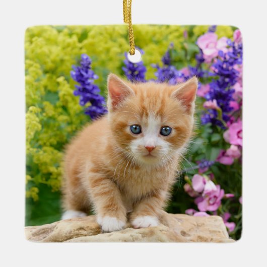 Cute Fluffy Ginger Cat Kitten in Flowers Pet Keramisch Ornament (Voorkant)