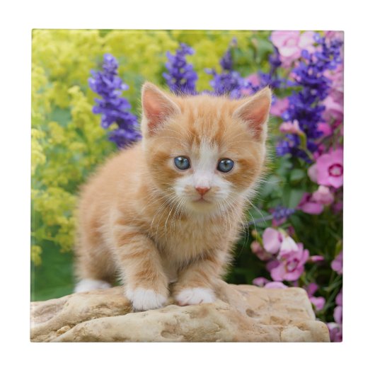 Cute Fluffy Ginger Cat Kitten in Flowers Pet Photo Tegeltje (Voorkant)