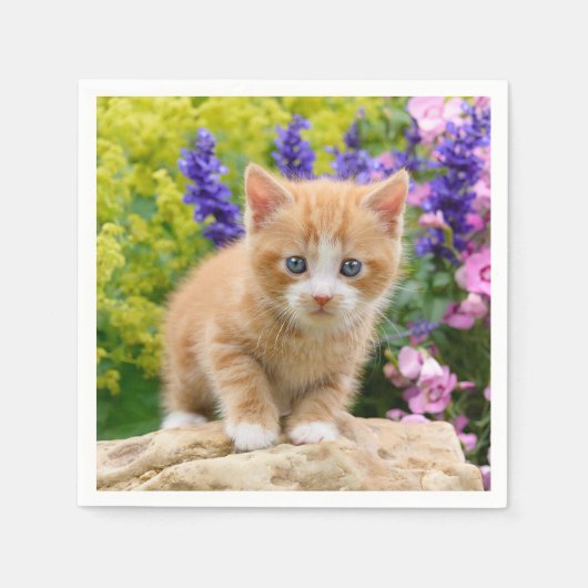 Cute Fluffy Ginger Cat Kitten in Flowers Pet Servet (Voorkant)