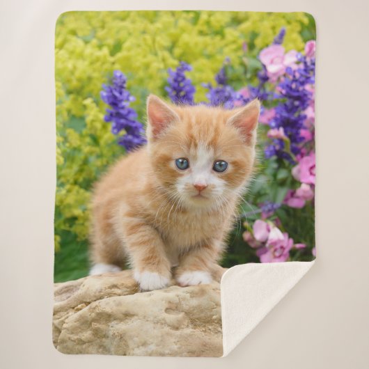 Cute Fluffy Ginger Cat Kitten in Flowers Pet Sherpa Deken (Voorkant)