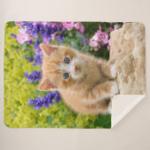 Cute Fluffy Ginger Cat Kitten in Flowers Pet Sherpa Deken (Voorkant (horizontaal))