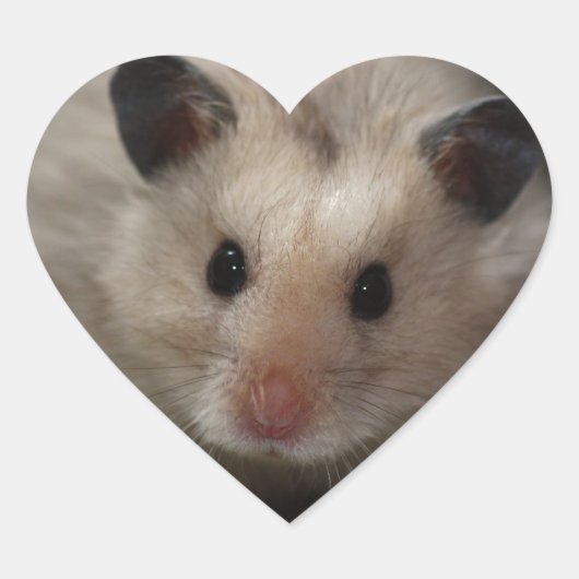 Cute Fluffy Hamster Hart Sticker (Voorkant)
